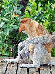 Similar image 21368713