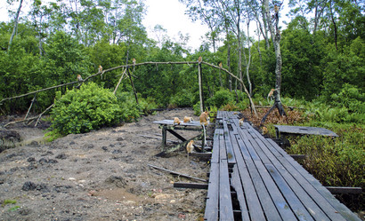 Similar image 21365716