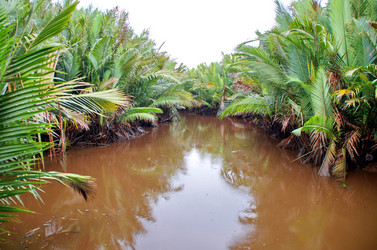 Similar image 21367437