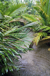 Similar image 21367439