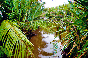 Similar image 21367607