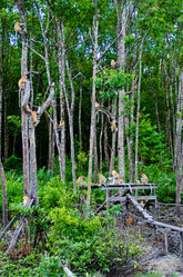 Similar image 21368122