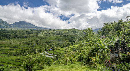 Similar image 21368128