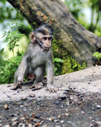 Similar image 21368430