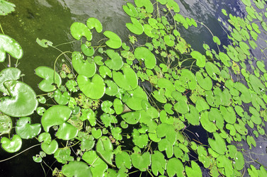 Similar image 21368431