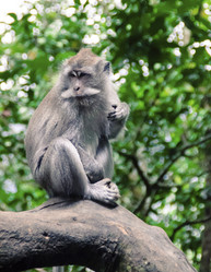 Similar image 21368860