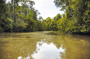 Similar image 21365721