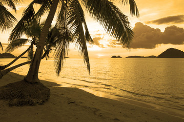 Similar image 21367441