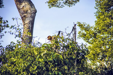 Similar image 21367443