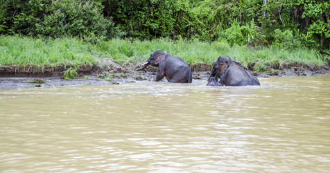 Similar image 21367613