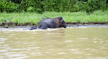 Similar image 21367614