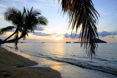 Similar image 21367854