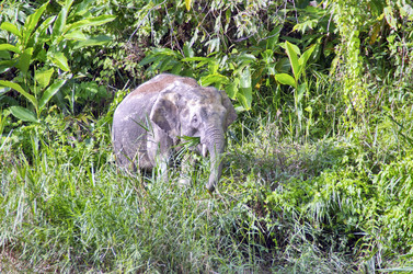 Similar image 21367855