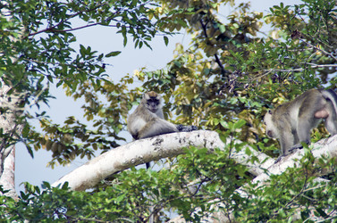 Similar image 21367860