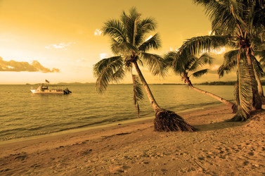 Similar image 21367865