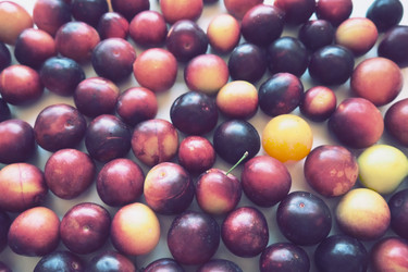 Similar image 21374750