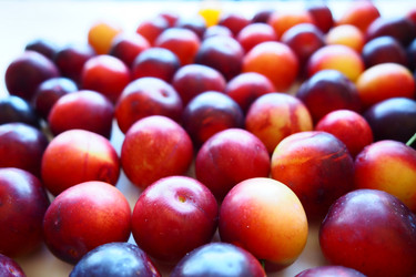 Similar image 21374751