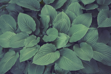 Similar image 21374752