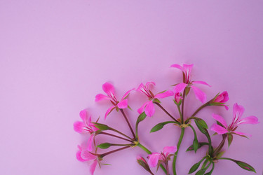 Similar image 21374753