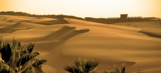 Similar image 21365723