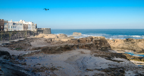 Similar image 21367867