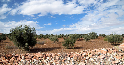 Similar image 21367873