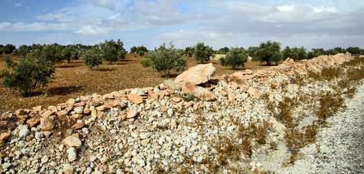 Similar image 21367875