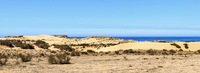 Similar image 21367876