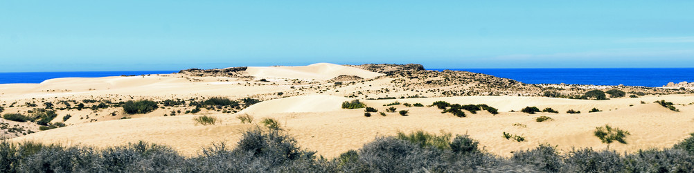 Similar image 21367877