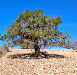 Similar image 21368447