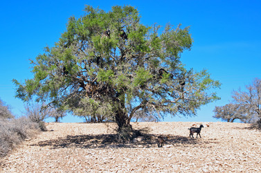 Similar image 21368449