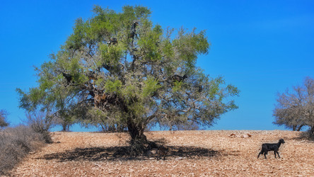 Similar image 21368451