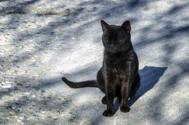 Similar image 21365733