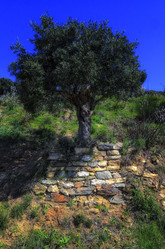 Similar image 21367631