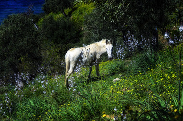 Similar image 21367633