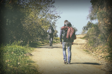 Similar image 21367884