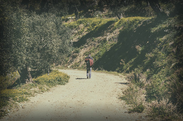 Similar image 21367889