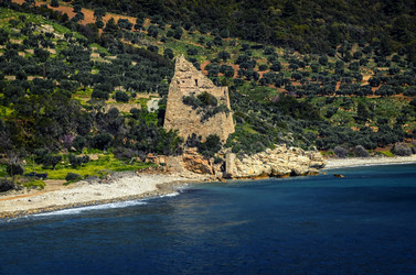 Similar image 21368469