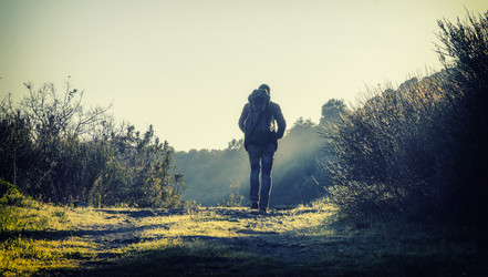 Similar image 21368470