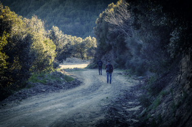 Similar image 21368472