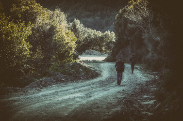 Similar image 21368726