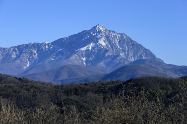 Similar image 21368865