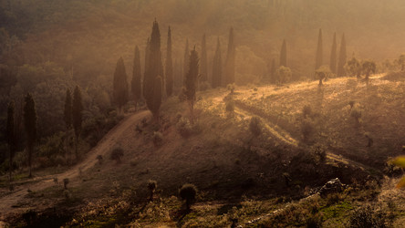 Similar image 21368157