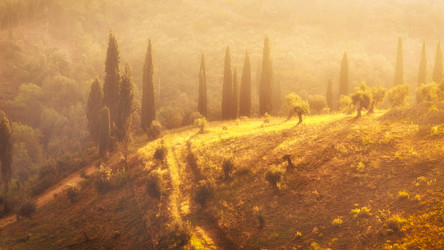 Similar image 21368158