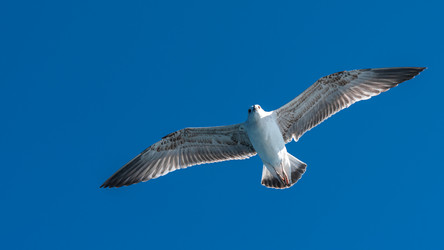 Similar image 21368484