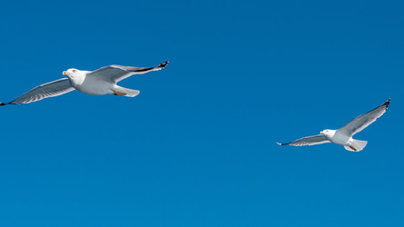 Similar image 21368734