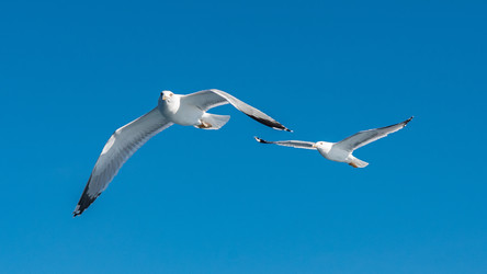 Similar image 21368736