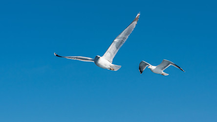 Similar image 21368870