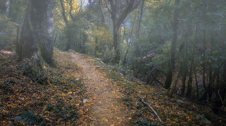 Similar image 21368741