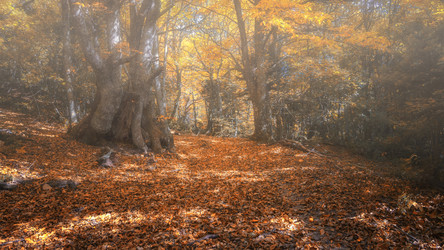 Similar image 21368871